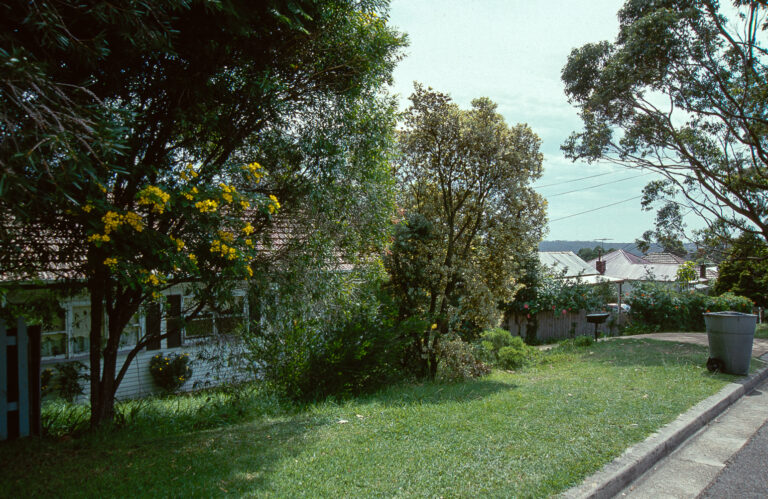 Australia, Heathcote, New South Wales, Still Life